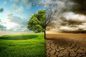 what-is-climate-change